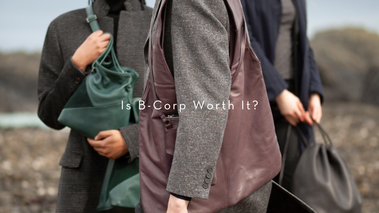 Is B-Corp Worth it?